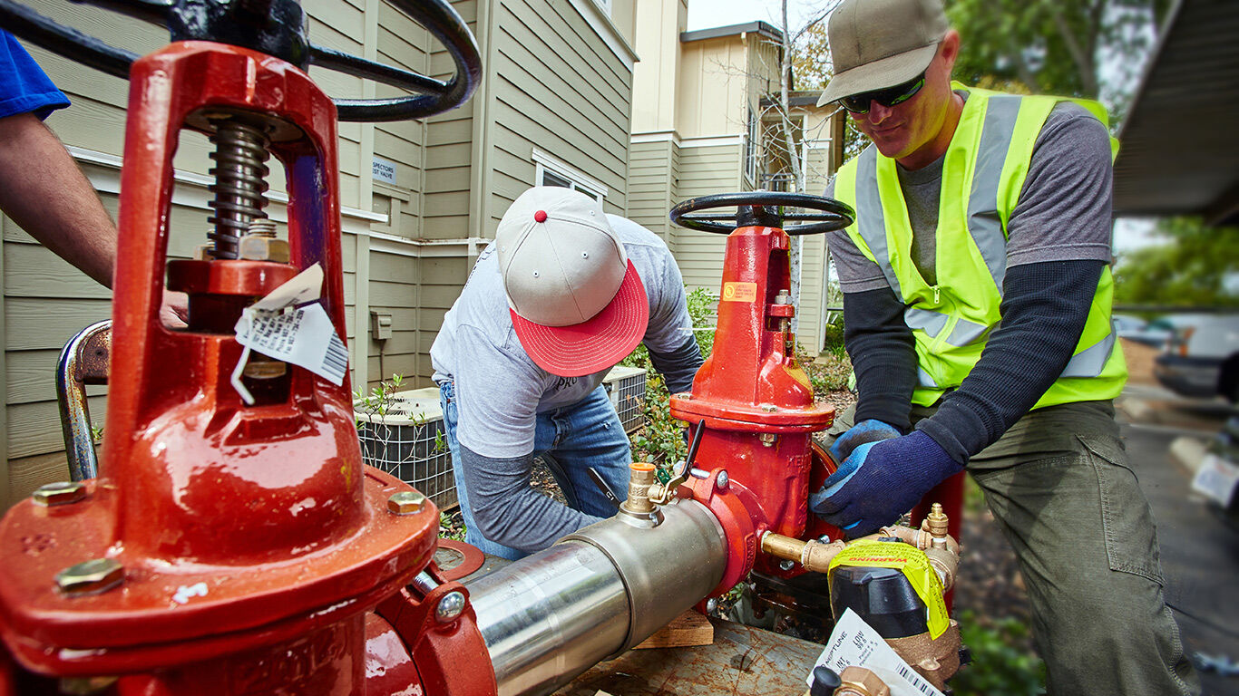 backflow-safety